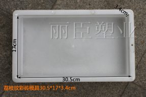 荔枝紋塑料彩磚模盒